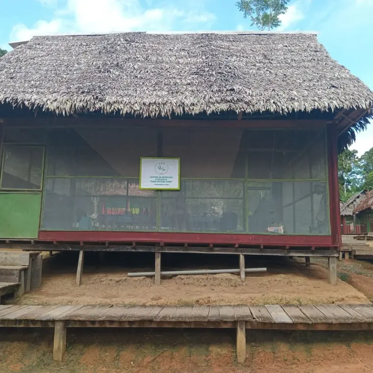 A thatched cabin at the camp
