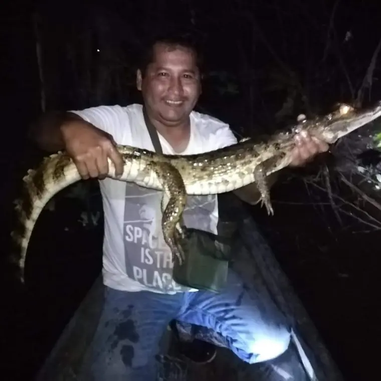 A caiman held up on the night excursion