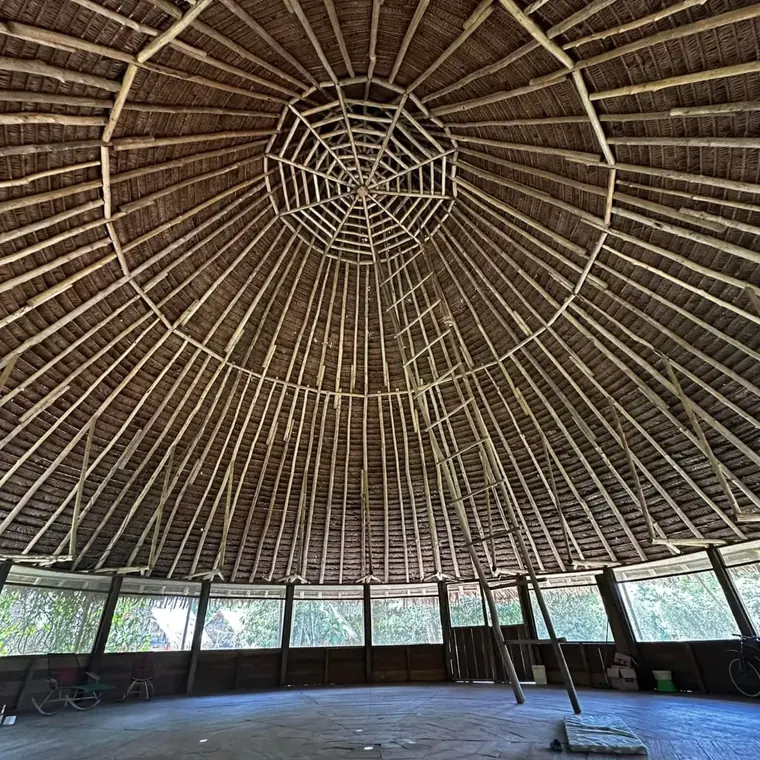 The woven conical roof of the maloca seen from inside